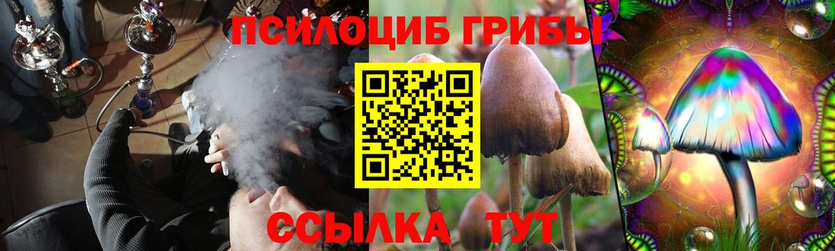 Псилоцибиновые грибы Cubensis Иркутск
